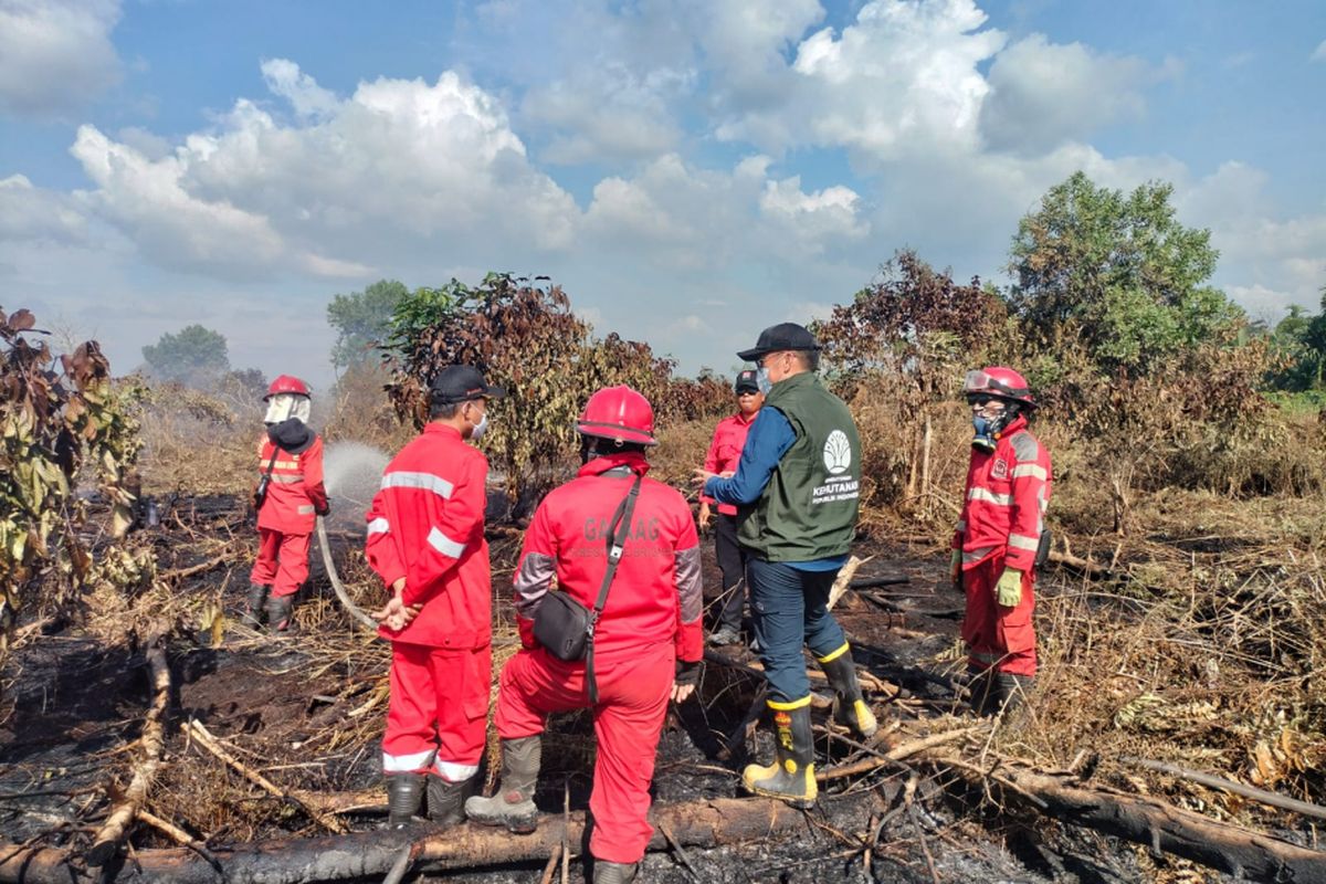 Ratusan Hektare Karhutla Berhasil Dipadamkan, Penanganan Terus Berlanjut