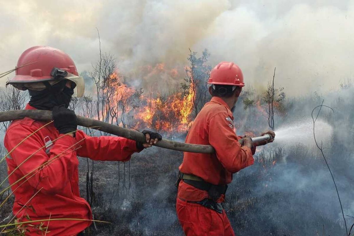 Mengawal Bantuan Karhutla Tepat Sasaran dan Transparan