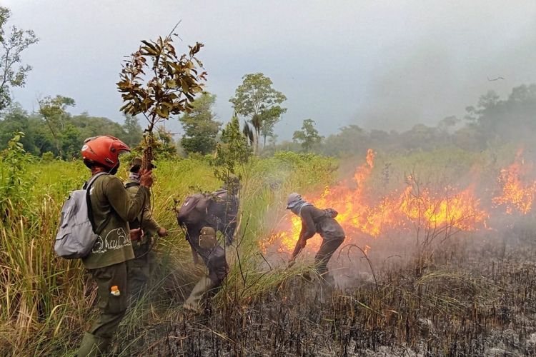 Bantuan Karhutla Diperluas untuk Lindungi Warga dari Kabut Asap